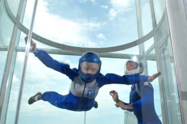 Free Fly