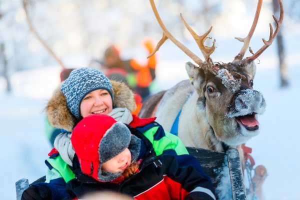Фермы и питомники